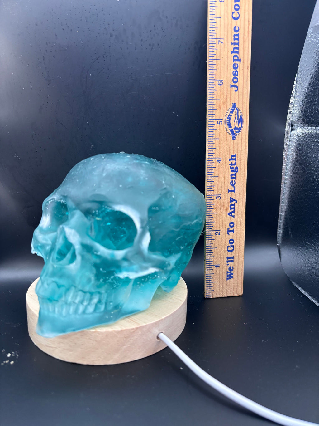 Resin Skull