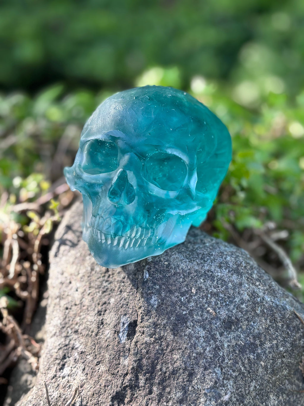 Resin Skull